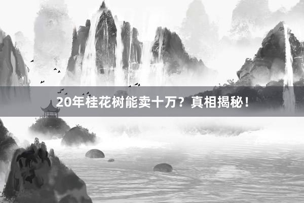 20年桂花树能卖十万？真相揭秘！